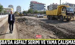 Tuşba’da asfalt serimi ve yama çalışması…