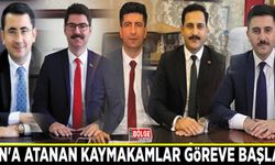 Van'a atanan kaymakamlar göreve başladı