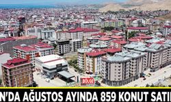 Van'da Ağustos ayında 859 konut satıldı