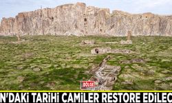 Van'daki tarihi camiler restore edilecek
