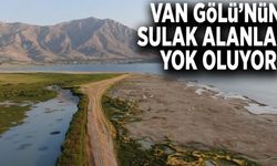 Van Gölü’nün sulak alanları yok oluyor