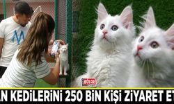 Van kedilerini 250 bin kişi ziyaret etti