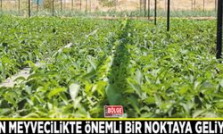 Van meyvecilikte önemli bir noktaya geliyor