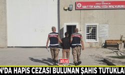 Van’da hapis cezası bulunan şahıs tutuklandı