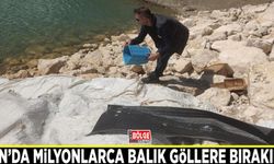 Van’da milyonlarca balık göllere bırakıldı