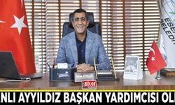 Vanlı Ayyıldız başkan yardımcısı oldu