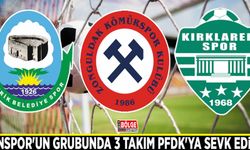 Vanspor'un grubunda 3 takım PFDK'ya sevk edildi