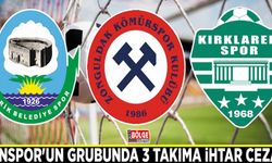 Vanspor'un grubunda 3 takıma ihtar cezası