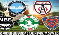 Vanspor'un grubunda 5 takım PFDK'ya sevk edildi