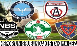 Vanspor'un grubundaki 5 takıma ceza…