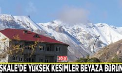 Başkale'de yüksek kesimler beyaza büründü
