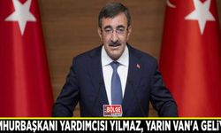 Cumhurbaşkanı Yardımcısı Yılmaz, yarın Van'a geliyor