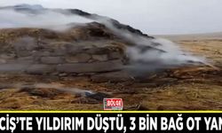Erciş’te yıldırım düştü, 3 bin bağ ot yandı