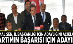 Şen: Partimin başarısı için adayım!