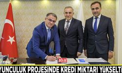 Koyunculuk projesinde kredi miktarı 400 bin TL'ye yükseltildi