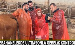 Mezbahanelerde ultrasonla gebelik kontrolü sistemi başladı
