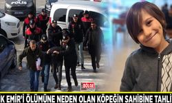 Minik Emir’i ısırarak ölümüne neden olan köpeğin sahibine tahliye kararı