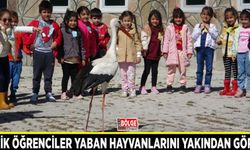 Minik öğrenciler yaban hayvanlarını yakından gördü