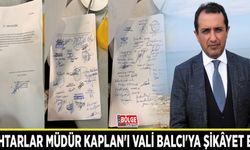 Muhtarlar Müdür Kaplan'ı Vali Balcı'ya şikâyet etti