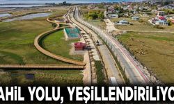 Sahil yolu, yeşillendiriliyor