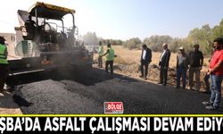 Tuşba’da asfalt çalışması devam ediyor