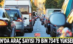 Van'da araç sayısı 79 bin 734'e yükseldi