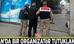 Van'da bir organizatör tutuklandı