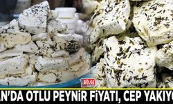 Van'da otlu peynir fiyatı, cep yakıyor