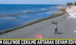 Van Gölü'nde çekilme artarak devam ediyor