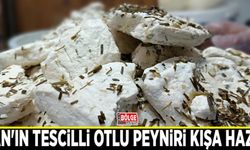 Van'ın tescilli otlu peyniri kışa hazır