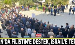Van’da Filistin’e destek, İsrail’e tepki