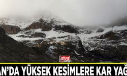 Van’da yüksek kesimlere kar yağdı