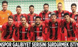 Vanspor galibiyet serisini sürdürmek istiyor
