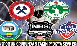 Vanspor'un grubunda 5 takım PFDK'ya sevk edildi
