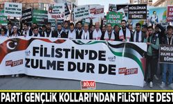AK Parti Gençlik Kolları'ndan Filistin'e destek