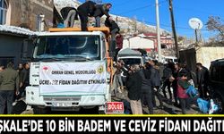 Başkale’de 10 bin badem ve ceviz fidanı dağıtıldı