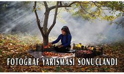 Edremit'te fotoğraf yarışması sonuçlandı