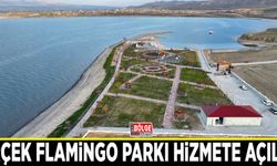 Erçek Flamingo Parkı hizmete açıldı