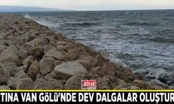 Fırtına Van Gölü'nde dev dalgalar oluşturdu