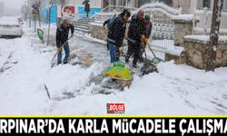 Gürpınar’da karla mücadele çalışması