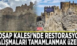 Hoşap Kalesi'nde restorasyon çalışmaları tamamlanmak üzere