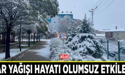 Kar yağışı hayatı olumsuz etkiledi
