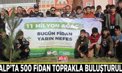 Özalp’ta 500 fidan toprakla buluşturuldu