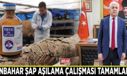 Sonbahar şap aşılama çalışması tamamlandı