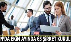Van'da Ekim ayında 63 şirket kuruldu