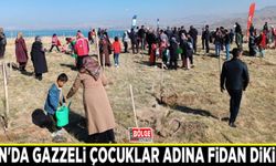 Van'da Gazzeli çocuklar adına fidan dikildi