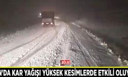 Van'da kar yağışı yüksek kesimlerde etkili oluyor