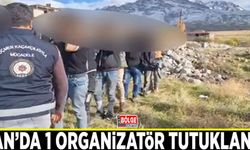 Van’da 1 organizatör tutuklandı