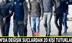 Van’da değişik suçlardan 20 kişi tutuklandı