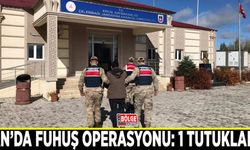 Van’da fuhuş operasyonu: 1 tutuklama